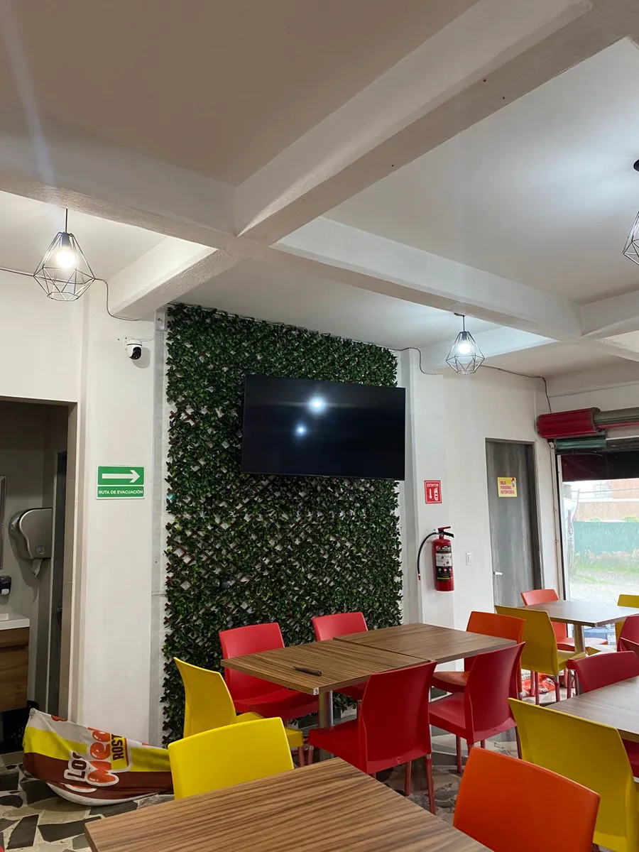 Comedor de la rosticería con mesas de madera, sillas rojas y amarillas y muro de hojas verdes